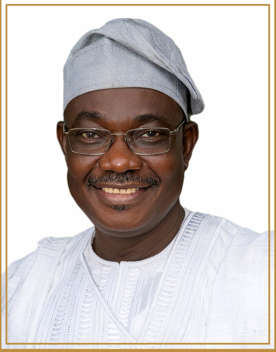 Portrait of Mr. Steven Olarewaju Awoniyi